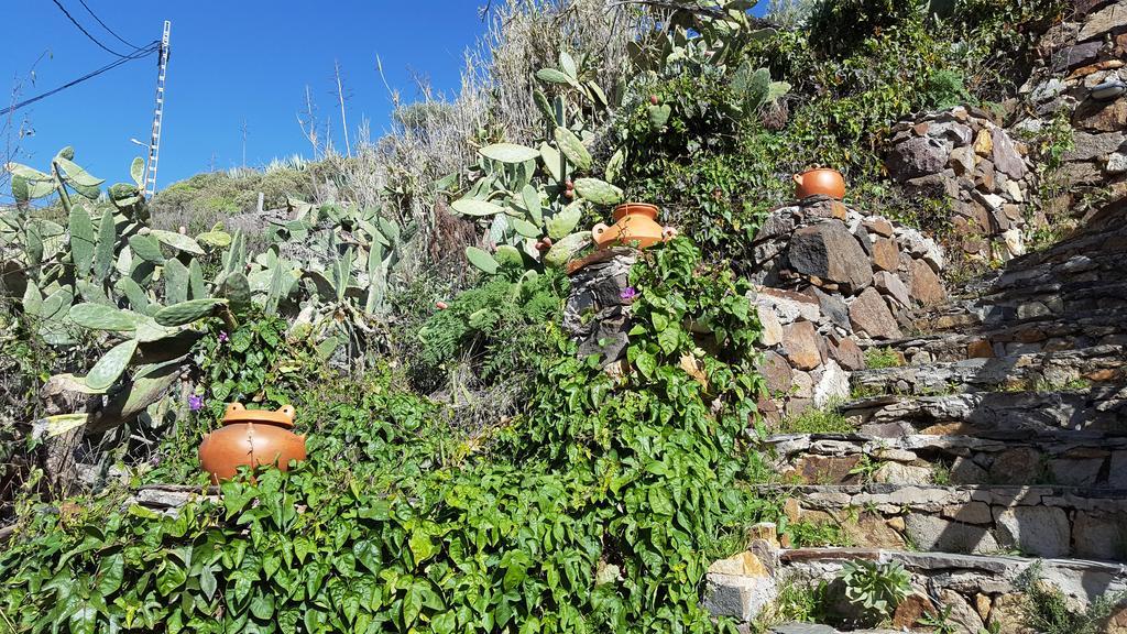 Casa Rural - Laendliches Haus, Pepita La De Las Flores Tejeda  Extérieur photo