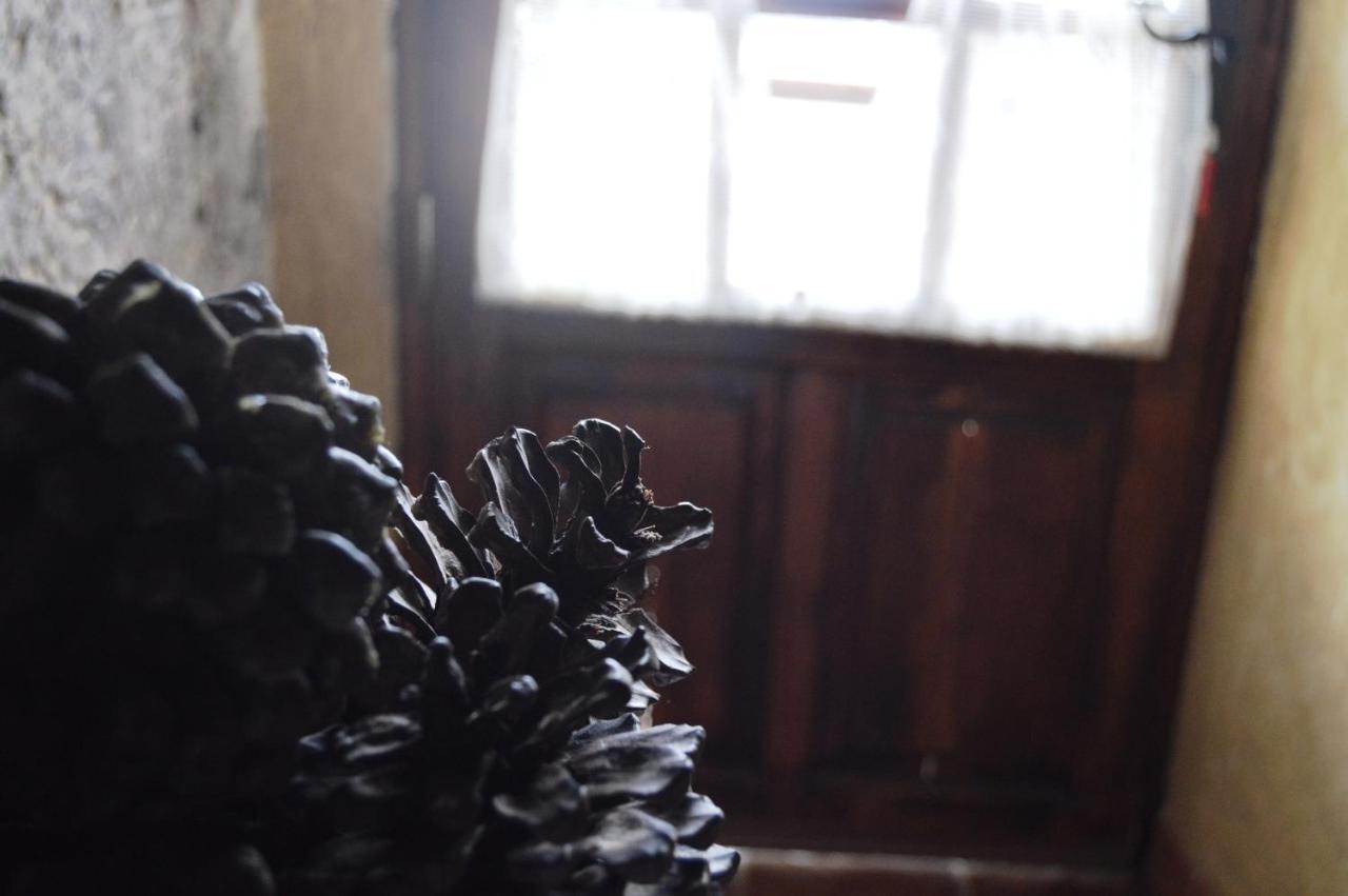 Casa Rural - Laendliches Haus, Pepita La De Las Flores Tejeda  Extérieur photo