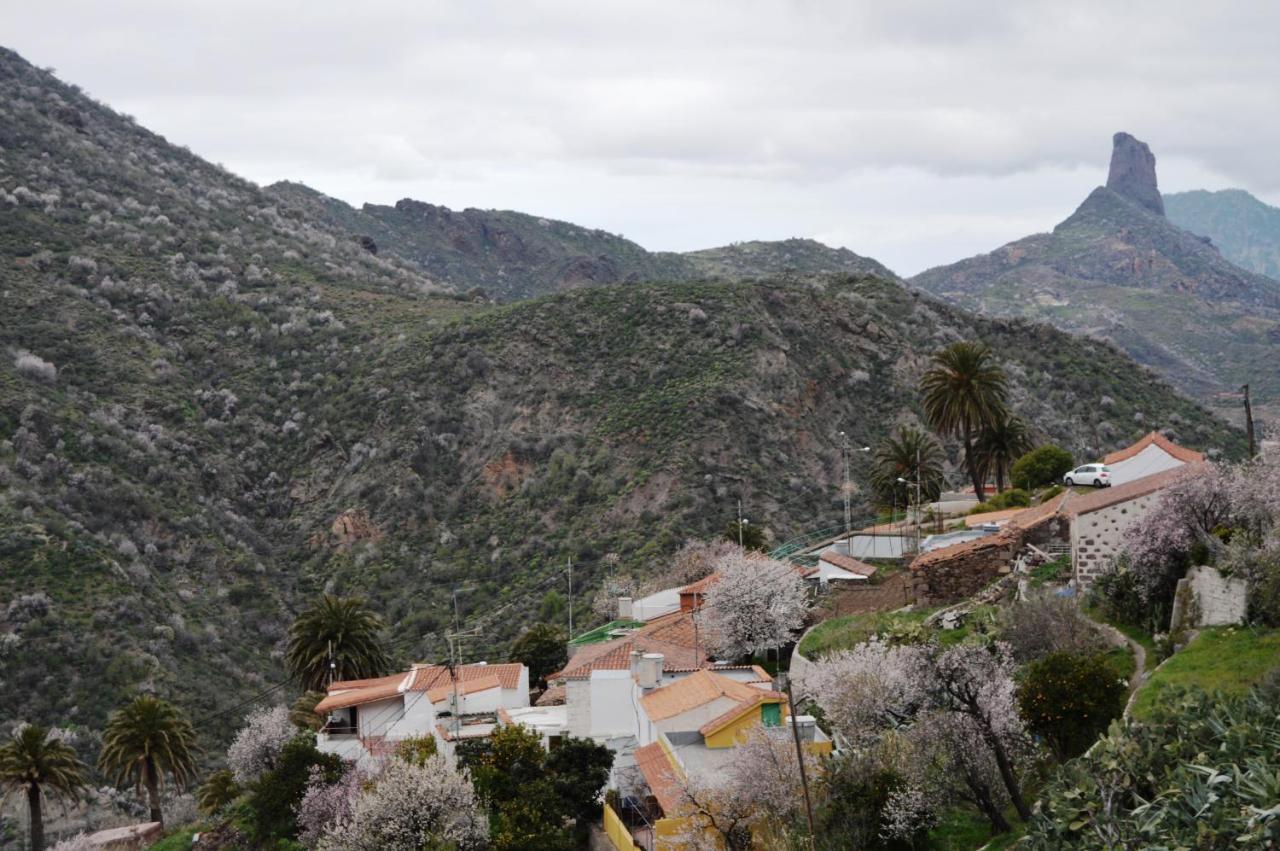 Casa Rural - Laendliches Haus, Pepita La De Las Flores Tejeda  Extérieur photo